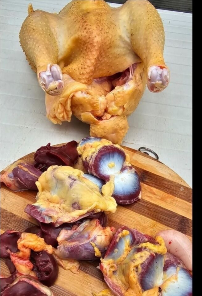 Köy tavuğu Taşlık 5kg