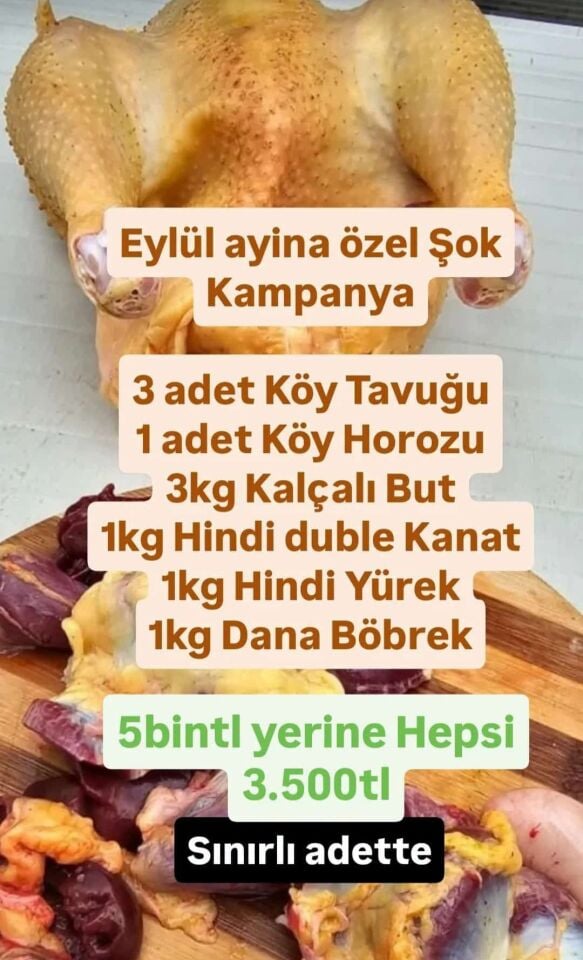 Eylül ayı kampanyasi